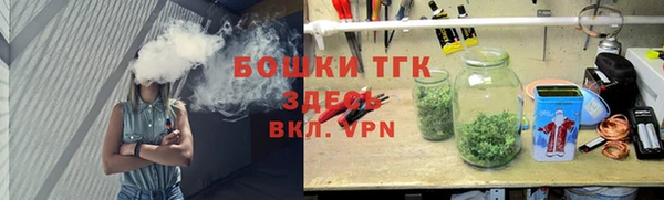 первитин Гусев