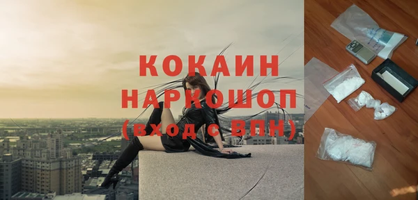 первитин Гусев