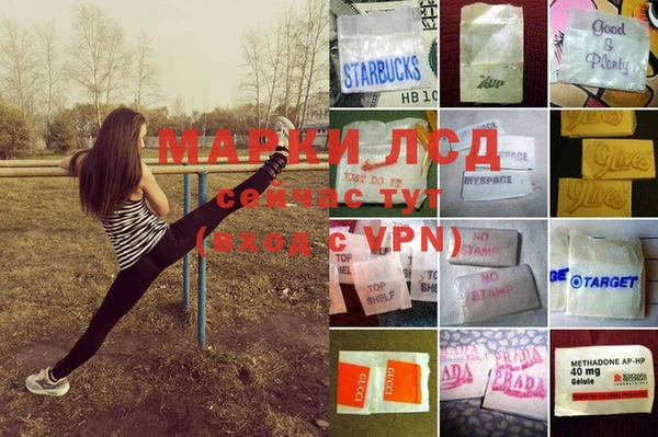 a pvp Гусиноозёрск