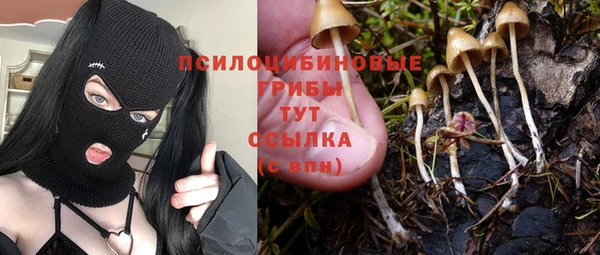 первитин Гусев