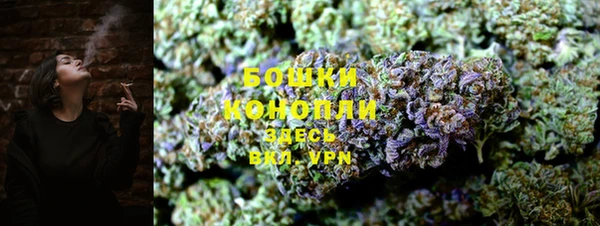 первитин Гусев