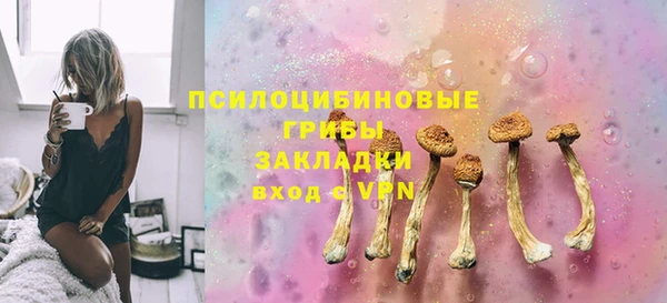a pvp Гусиноозёрск